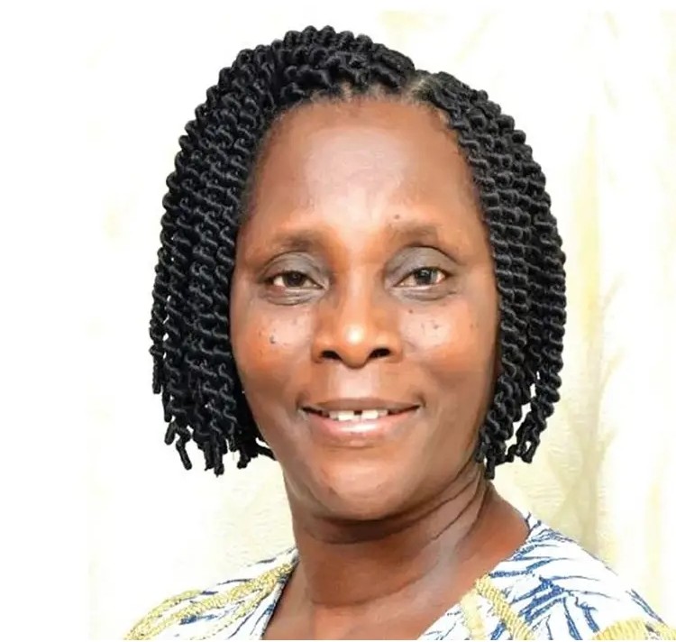 Experts advocate wider use of  MMS to tackle Nigeria’s maternal mortality