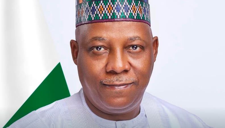 ‘You can’t lead by trying to please everyone,’ Shettima says