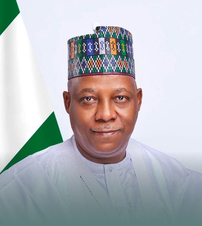 ‘You can’t lead by trying to please everyone,’ Shettima says