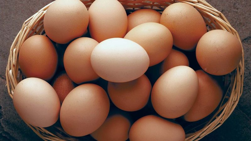 Nutritionists urge parents to replace biscuits with eggs to improve children's nutrition