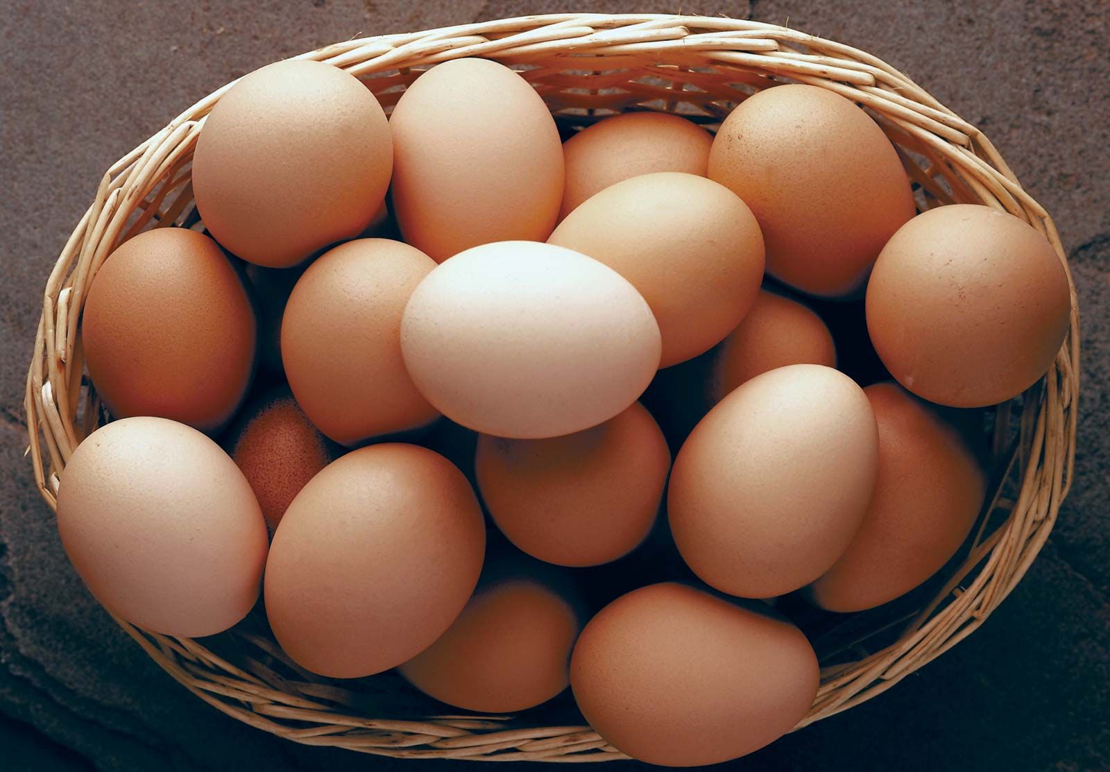 Nutritionists urge parents to replace biscuits with eggs to improve children’s nutrition