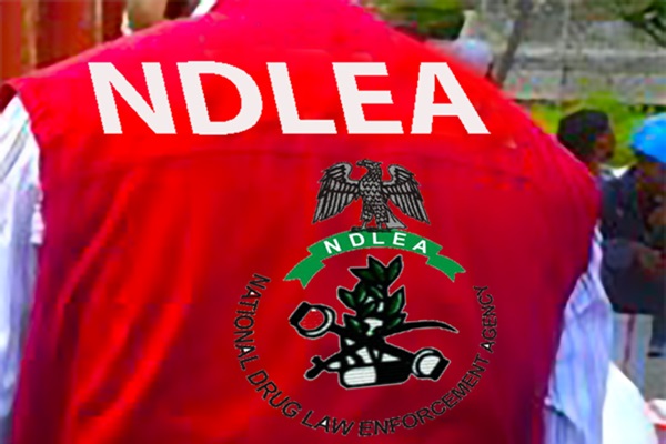 Court orders NDLEA to produce KC luxury after two weeks in detention without charge
