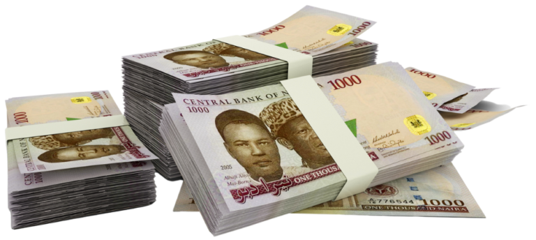 ₦100,000 Salary Challenge: Can a Nigerian Family Survive on It in 2026?