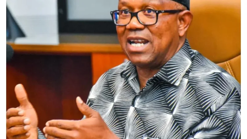 Pro-Tinubu group appeals to Ohanaeze, Anyaoku over Obi’s 2027 bid