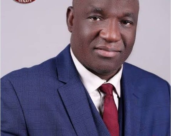 10th Senate passed more than 200 laws in three years - Plang