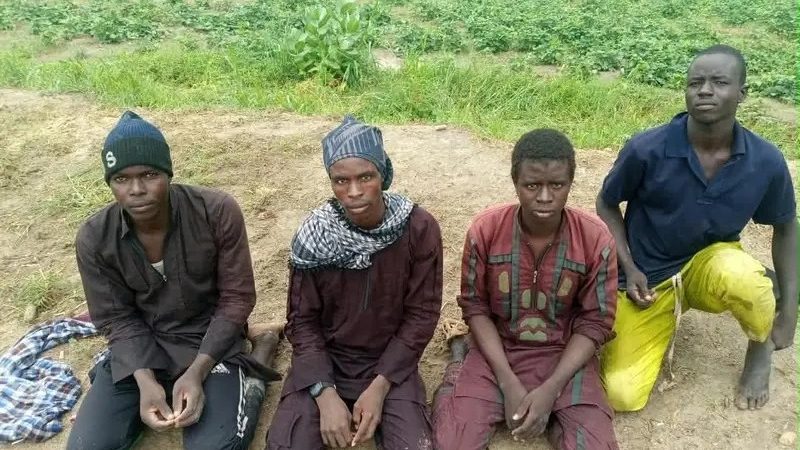 Terrorist surrenders surge as military tightens pressure in North-East