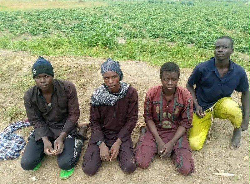 Terrorist surrenders surge as military tightens pressure in North-East