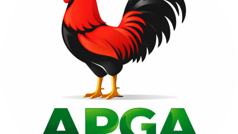 Elderly APGA supporter murdered in Ebonyi; candidate appeals for calm