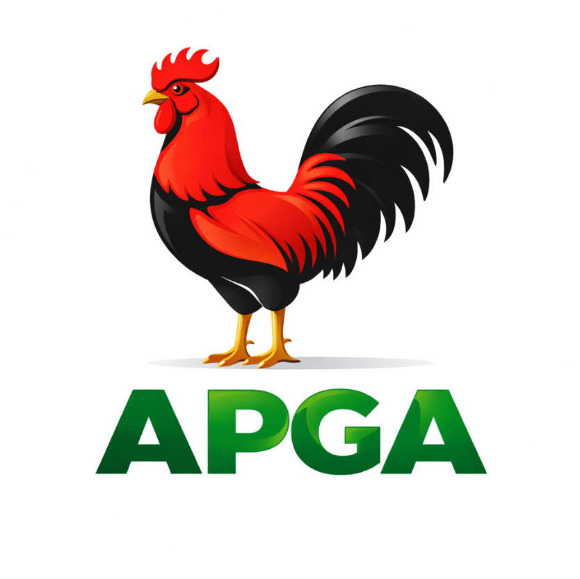 Elderly APGA supporter murdered in Ebonyi; candidate appeals for calm