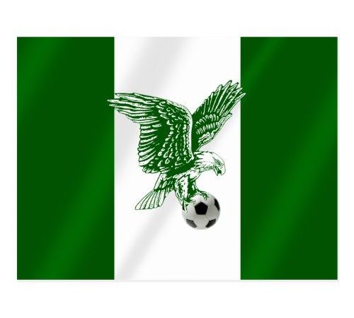 Super Eagles step up preparations for crucial international fixtures