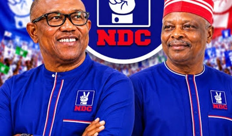 "He'll destroy the NDC too" — NNPP slams Kwankwaso pick